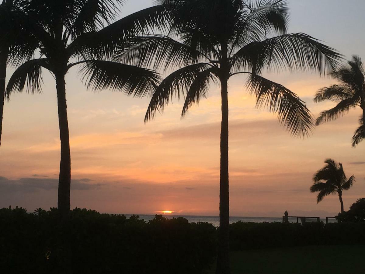 Lovely Relaxing Lanikai Studio, Legal Vacation Rental カイルア エクステリア 写真